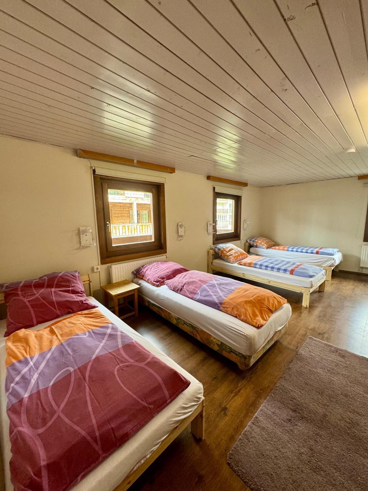 Skill Mountain Lodge - Ski Und Bike Hostel Im Sommer Mit Joker Card Saalbach-Hinterglemm Phòng bức ảnh